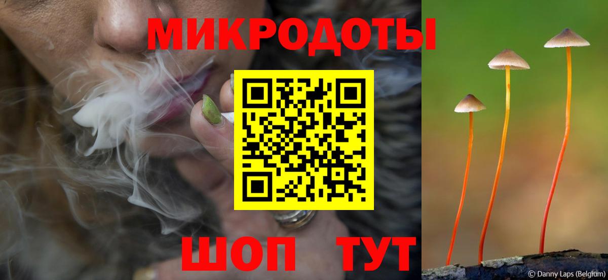 продажа наркотиков  Псилоцибиновые грибы Magic Shrooms  Вход с VPN  Галлюциногенные грибы Cubensis  Новотроицк 