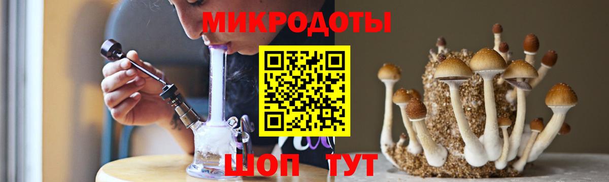 Галлюциногенные грибы GOLDEN TEACHER Новотроицк
