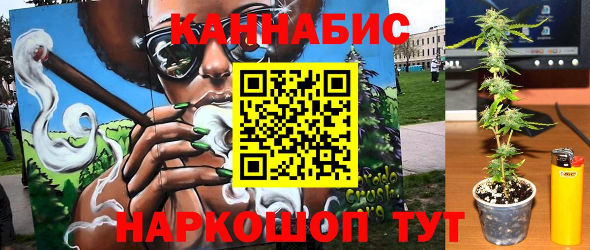 Бошки марихуана гибрид Новотроицк